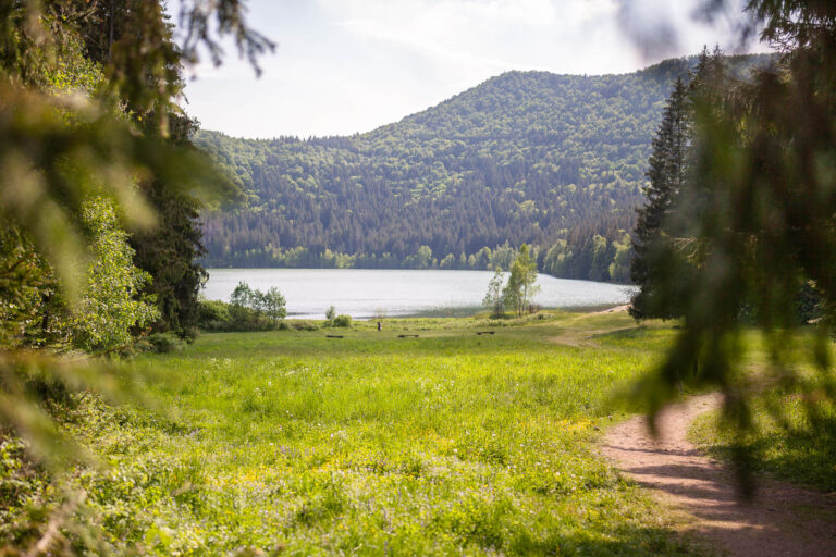 Lacul Sfânta Ana, singurul lac vulcanic din România, înconjurat de păduri verzi și pajiști, aproape de Băile Tușnad